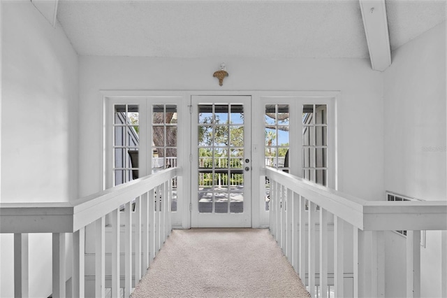 600 N Mayo St, Crystal Beach, FL 34681 - photo 36