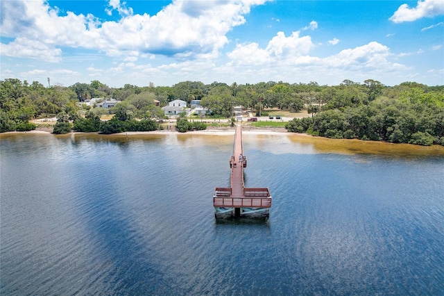 600 N Mayo St, Crystal Beach, FL 34681 - photo 69
