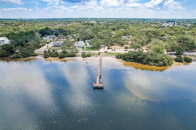 600 N Mayo St, Crystal Beach, FL 34681 - photo 70