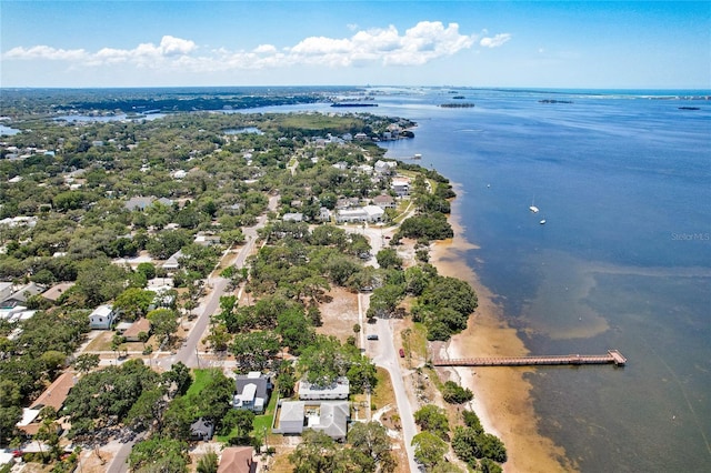 600 N Mayo St, Crystal Beach, FL 34681 - photo 72
