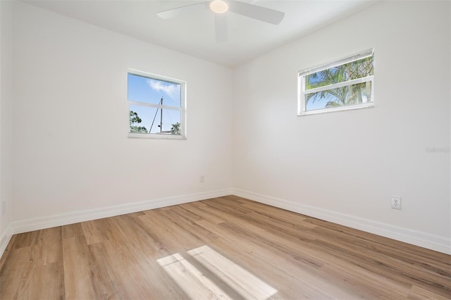 8719 Tahiti Ln, Tampa, FL 33615 - photo 22