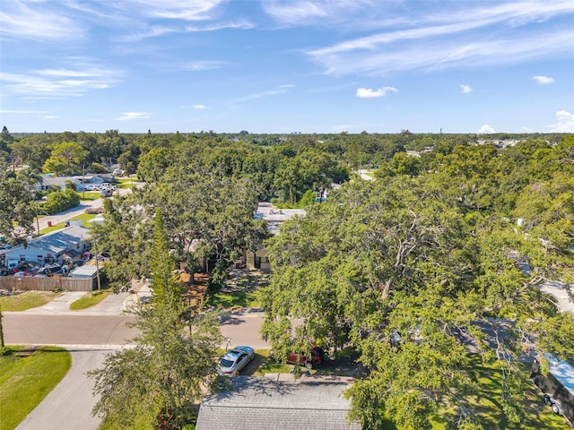 7180 50th Ave N, Saint Petersburg, FL 33709 - photo 18