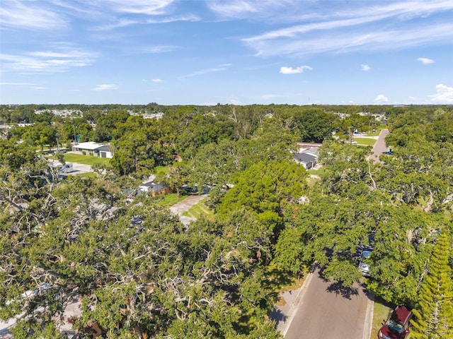 7180 50th Ave N, Saint Petersburg, FL 33709 - photo 20