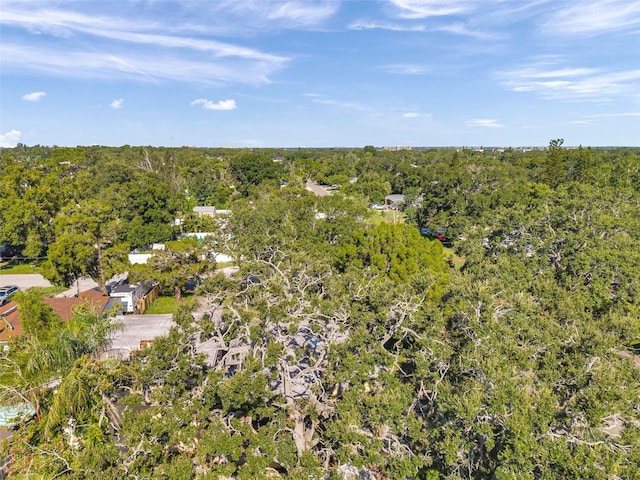 7180 50th Ave N, Saint Petersburg, FL 33709 - photo 21