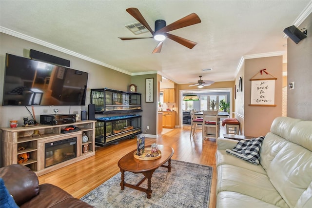 281 Maple Ave, Palm Harbor, FL 34684 - photo 16