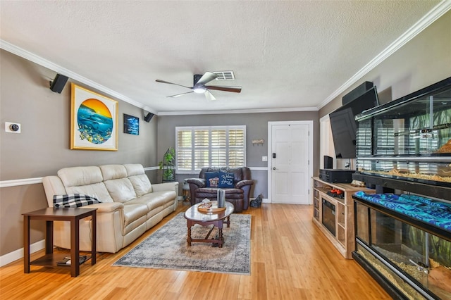 281 Maple Ave, Palm Harbor, FL 34684 - photo 51