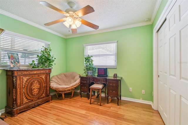 281 Maple Ave, Palm Harbor, FL 34684 - photo 53