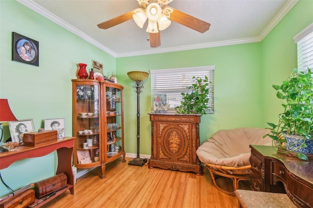 281 Maple Ave, Palm Harbor, FL 34684 - photo 54