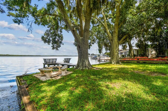 281 Maple Ave, Palm Harbor, FL 34684 - photo 88