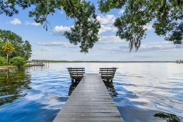 281 Maple Ave, Palm Harbor, FL 34684 - photo 89