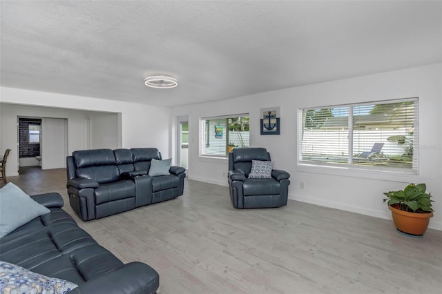 1808 Mapleleaf Blvd, Oldsmar, FL 34677 - photo 8