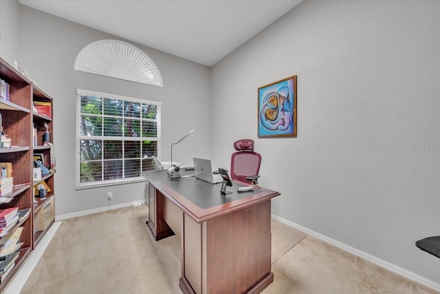 5803 Tanagerside Rd, Lithia, FL 33547 - photo 18