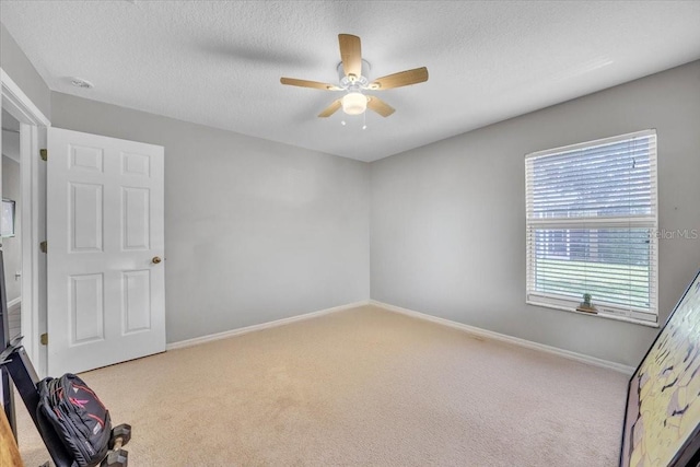 5803 Tanagerside Rd, Lithia, FL 33547 - photo 23