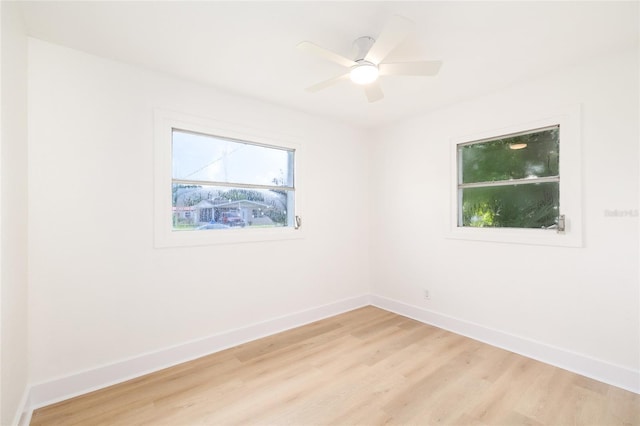 6716 81st Ave N, Pinellas Park, FL 33781 - photo 14