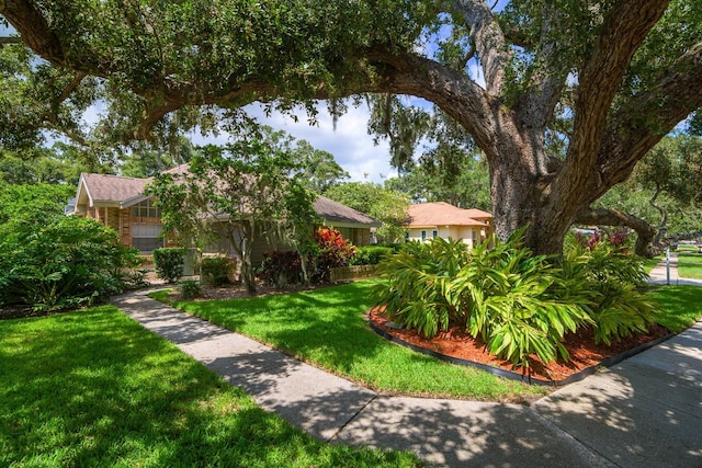 3046 Homestead Oaks Dr, Clearwater, FL 33759 - photo 47