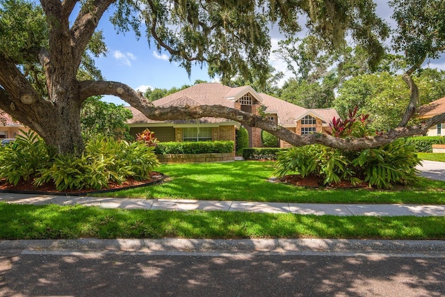 3046 Homestead Oaks Dr, Clearwater, FL 33759 - photo 48