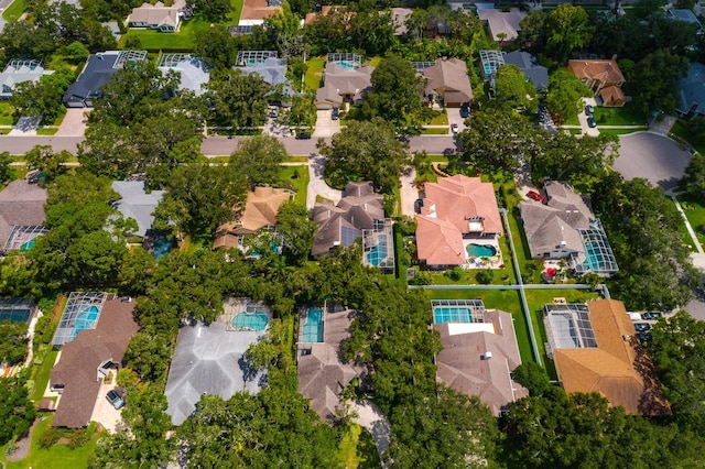 3046 Homestead Oaks Dr, Clearwater, FL 33759 - photo 50