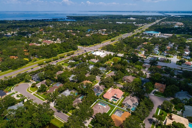 3046 Homestead Oaks Dr, Clearwater, FL 33759 - photo 51
