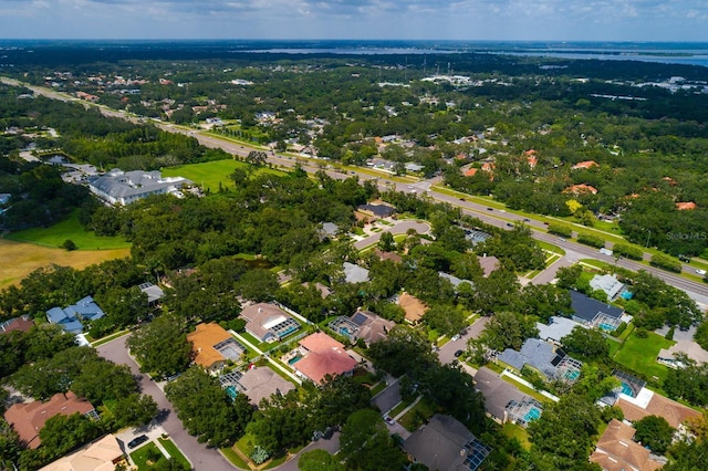 3046 Homestead Oaks Dr, Clearwater, FL 33759 - photo 53