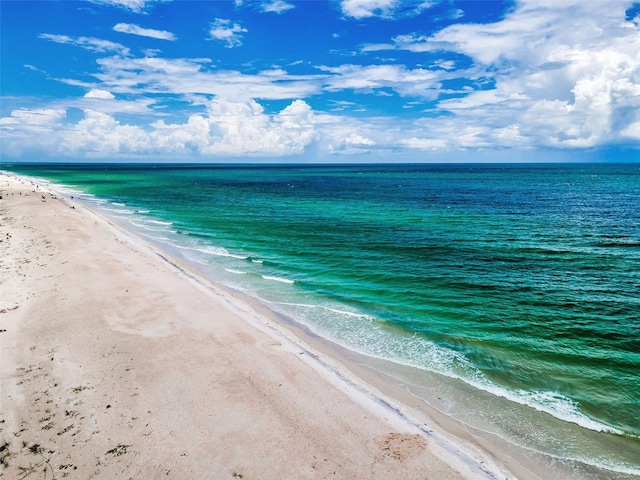 3500 Gulf Blvd Unit 402, Belleair Beach, FL 33786 - photo 68