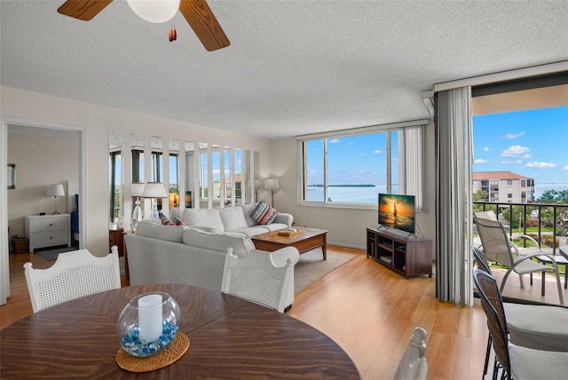 6219 Palma Del Mar Blvd S Unit 606, Saint Petersburg, FL 33715 - photo 9