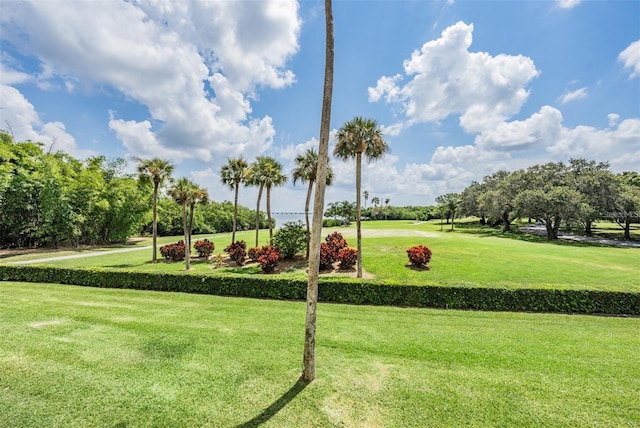 2616 Cove Cay Dr Unit 203, Clearwater, FL 33760 - photo 1