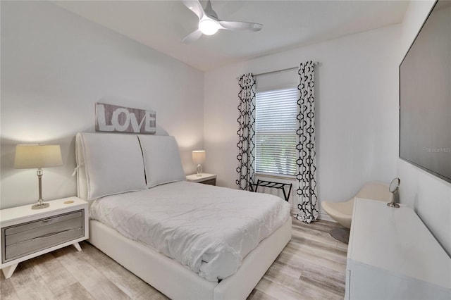6927 Crestpoint Dr, Apollo Beach, FL 33572 - photo 39