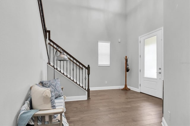 3832 Villamore Ln, Odessa, FL 33556 - photo 5
