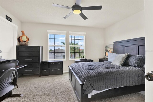 6723 Devesta Loop, Palmetto, FL 34221 - photo 22