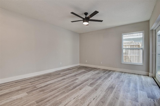 10303 Pennytree Pl, Tampa, FL 33624 - photo 4