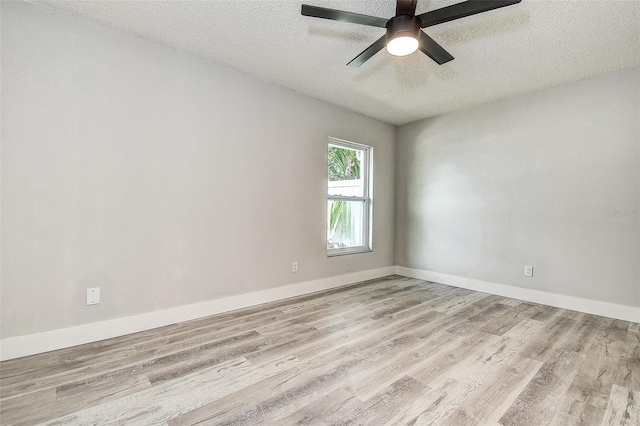 10303 Pennytree Pl, Tampa, FL 33624 - photo 12