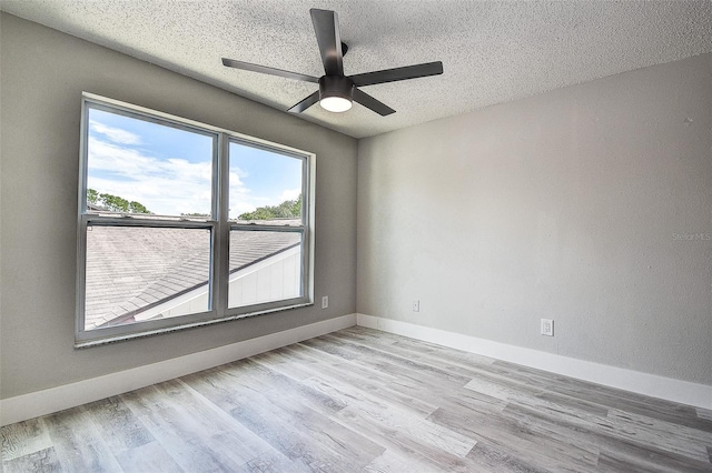 10303 Pennytree Pl, Tampa, FL 33624 - photo 20