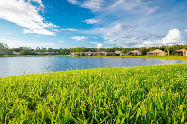 9313 Gentle Ben Ct, Weeki Wachee, FL 34613 - photo 52