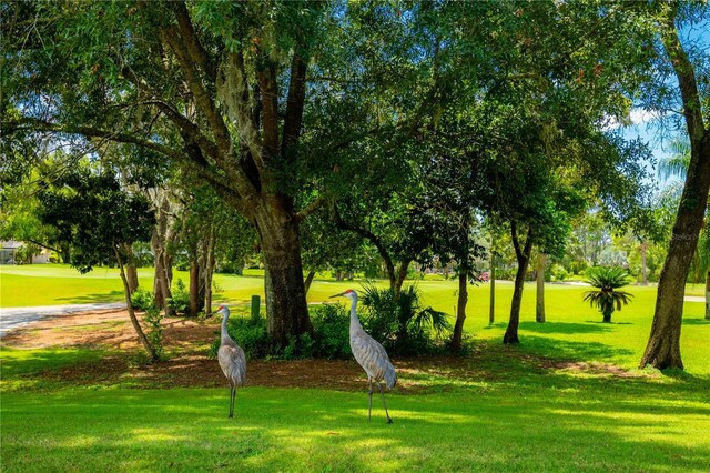 9313 Gentle Ben Ct, Weeki Wachee, FL 34613 - photo 59