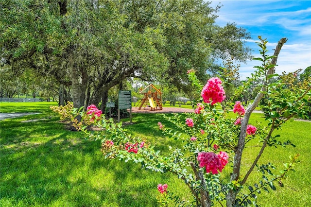 9313 Gentle Ben Ct, Weeki Wachee, FL 34613 - photo 67