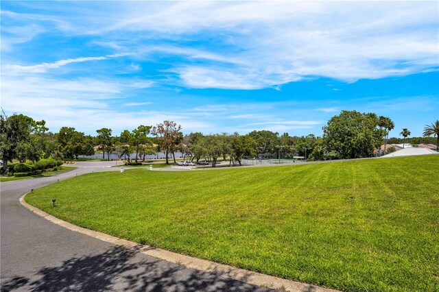 9313 Gentle Ben Ct, Weeki Wachee, FL 34613 - photo 75