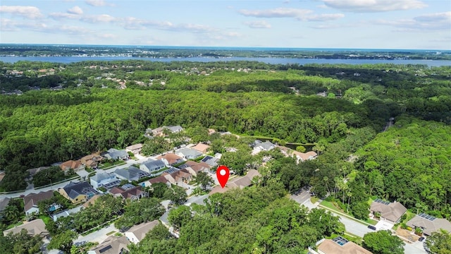 4271 Tremblay Way, Palm Harbor, FL 34685 - photo 37