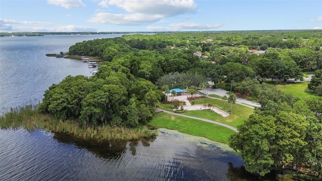 4271 Tremblay Way, Palm Harbor, FL 34685 - photo 45
