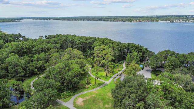 4271 Tremblay Way, Palm Harbor, FL 34685 - photo 46