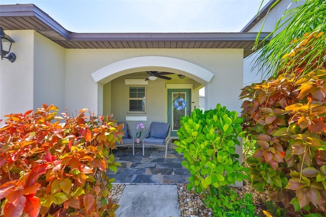1784 Ripple Jade Pl, Ruskin, FL 33570 - photo 4