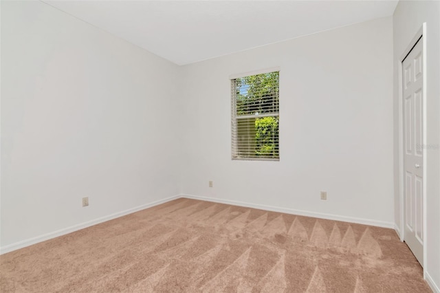 1927 Alecost Ct, Trinity, FL 34655 - photo 36