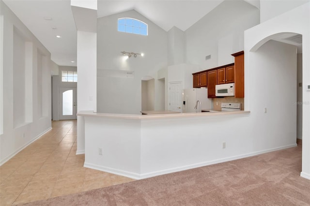 1927 Alecost Ct, Trinity, FL 34655 - photo 47