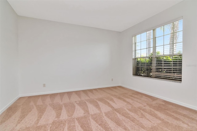 1927 Alecost Ct, Trinity, FL 34655 - photo 53
