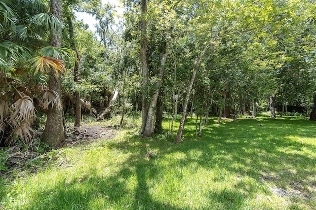 300 Cascade Ln, Palm Harbor, FL 34684 - photo 39