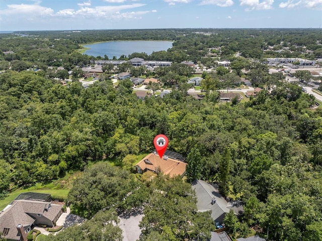 300 Cascade Ln, Palm Harbor, FL 34684 - photo 40