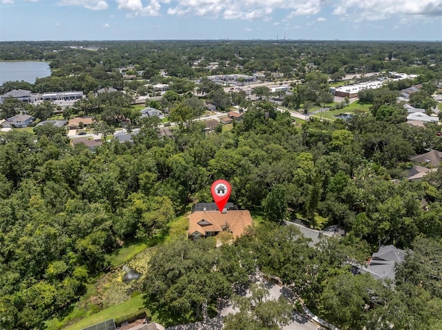 300 Cascade Ln, Palm Harbor, FL 34684 - photo 41