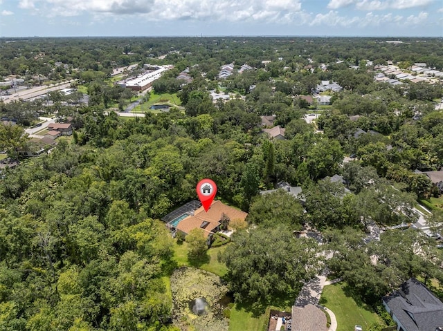 300 Cascade Ln, Palm Harbor, FL 34684 - photo 42