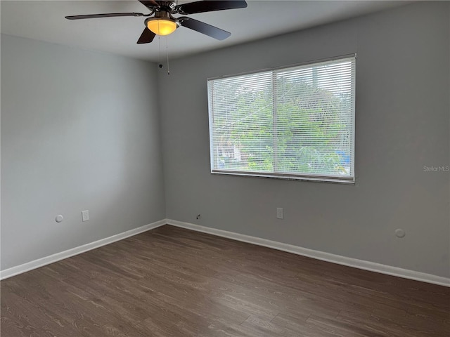 1415 E Holland Ave, Tampa, FL 33612 - photo 15