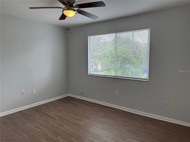 1415 E Holland Ave, Tampa, FL 33612 - photo 16