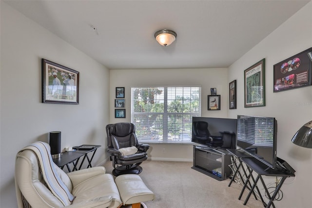 2058 Santa Catalina Ln Unit 2058, Riverview, FL 33578 - photo 19